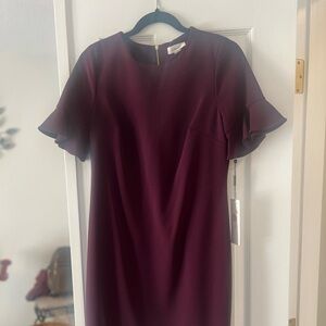 Calvin Klein Burgundy wine. Size 10 with tags brand new.